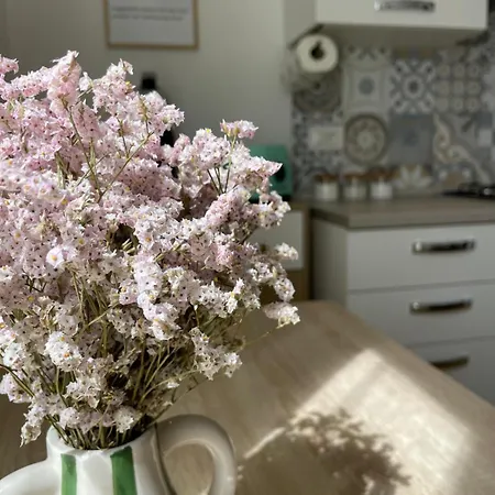 Апартаменты Cujo *